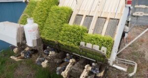 Desain tanpa judul (23)