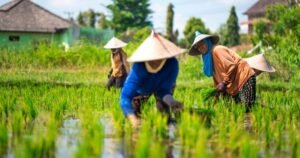 Desain tanpa judul (57)