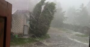 Desain tanpa judul (61)