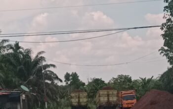 Diduga Gudang Cangkang Ilegal di Sebangar, Truk Hilir Mudik—Aparat Jangan Sekadar Jadi Penonton
