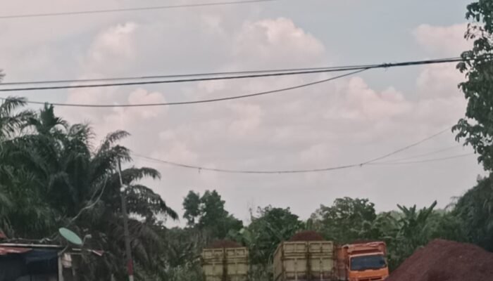 Diduga Gudang Cangkang Ilegal di Sebangar, Truk Hilir Mudik—Aparat Jangan Sekadar Jadi Penonton