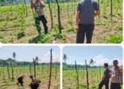 Polsek Sungai Sembilan Bersama Petani Cek Pekarangan Pangan Bergizi Dukung Ketahanan Pangan Nasional