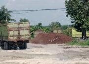 Aktivitas Gudang Cangkang dan CPO Ambarita Melenggang Bebas, DPMPTSP Bengkalis Mandul, Bupati dan DPRD Tutup Mata?