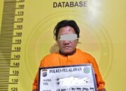 ‎SATRESNARKOBA POLRES PELALAWAN BEKUK BURUH PENGEDAR SABU 1,32 GRAM DI UKUI